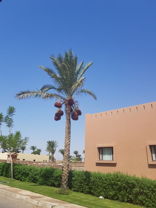 Garten Stella Garden Resort & Spa, Makadi Bay