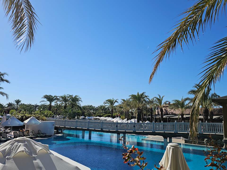 Pool Royal Wings Hotel