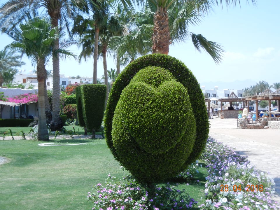 Gartenanlage Sharm Club Beach Resort