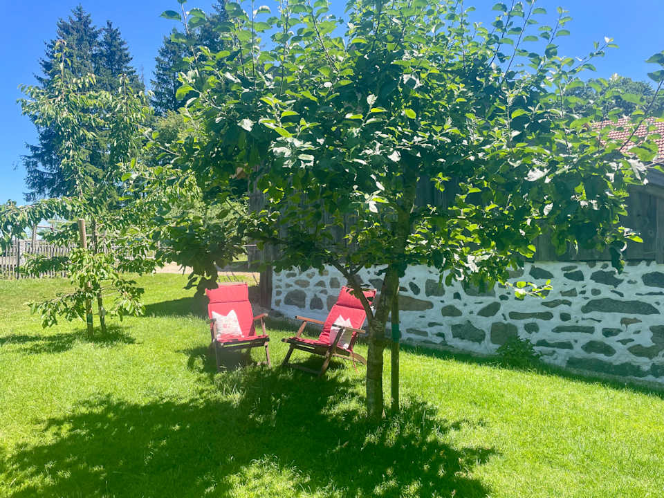 Gartenanlage Pension - Pferdehof - Haug