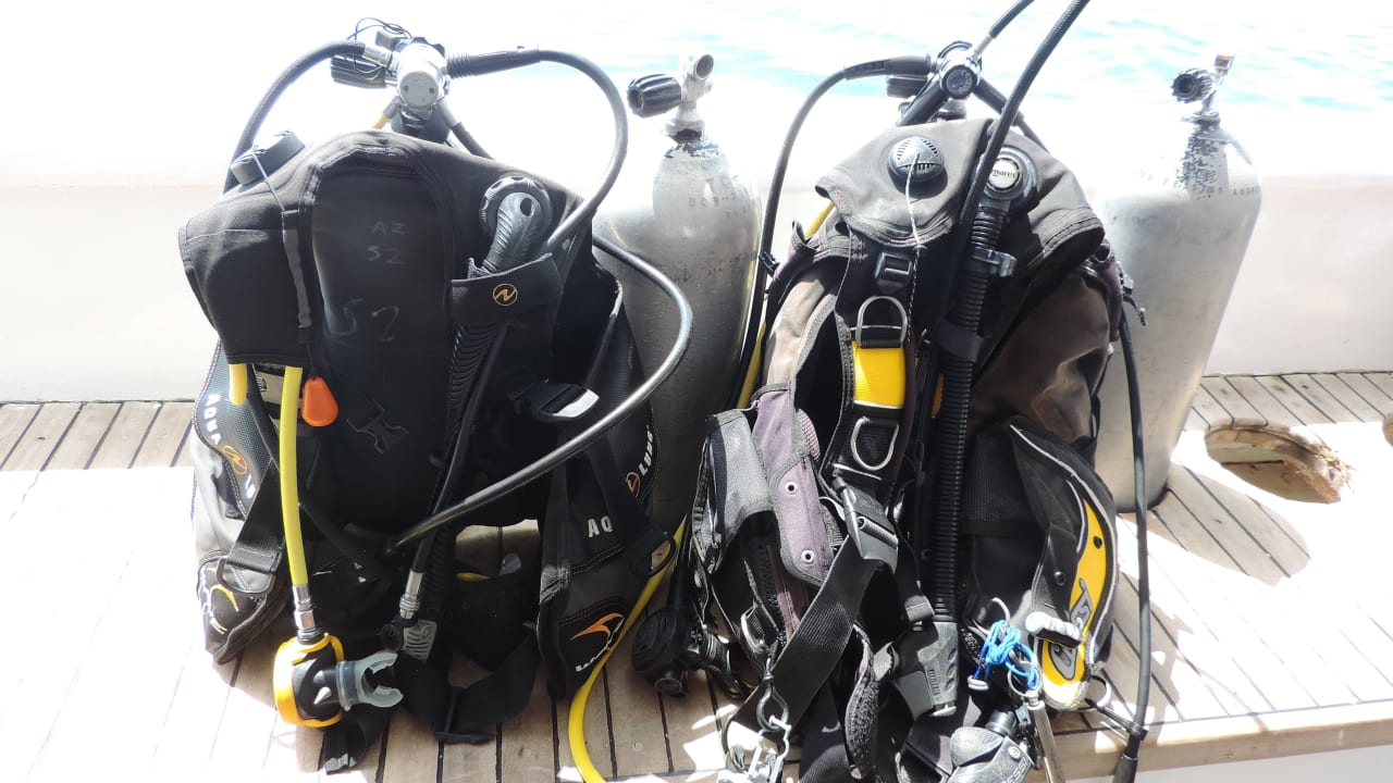 Tauchbasis Aquarius Pickalbatros Citadel Resort