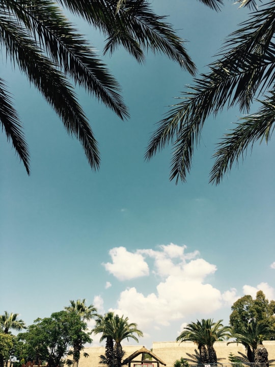 Liegenblick TUI Magic Life Belek