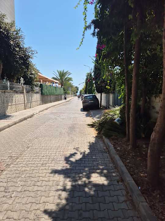 Strand Dizalya Palm Garden