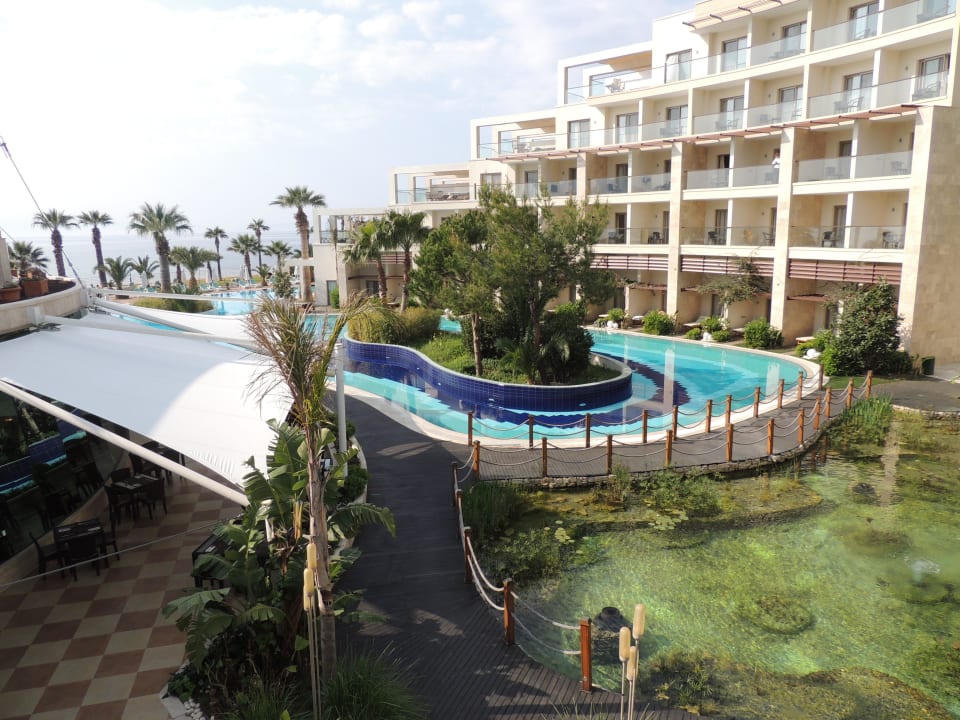 Schöner Garten im Paloma Pasha Paloma Pasha