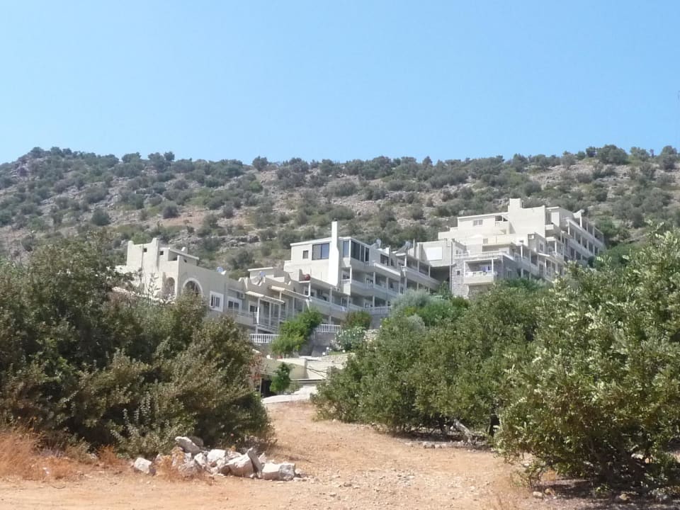 Hotel Hotel Heliotrope