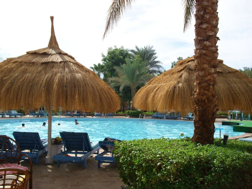 Pool Albatros Sharm Resort