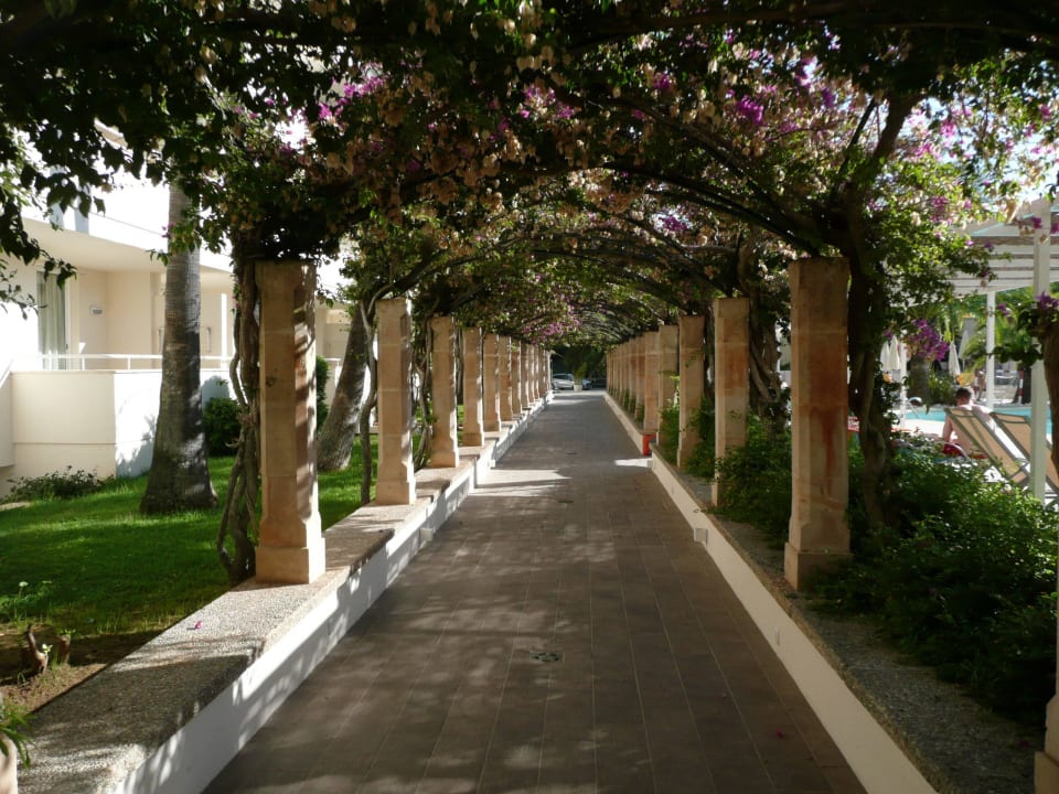 Gang zum Dartplatz Hotel Rosella by Intelier