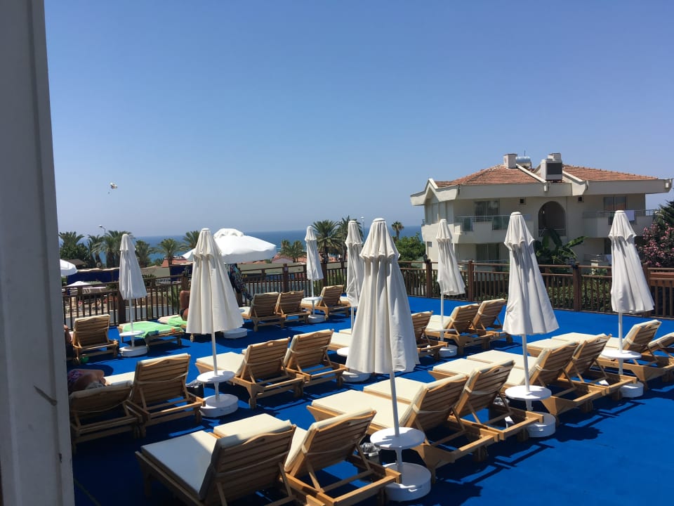 Sonstiges Dream Family Club