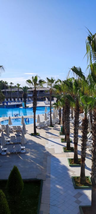 Pool Hotel Botanik Platinum