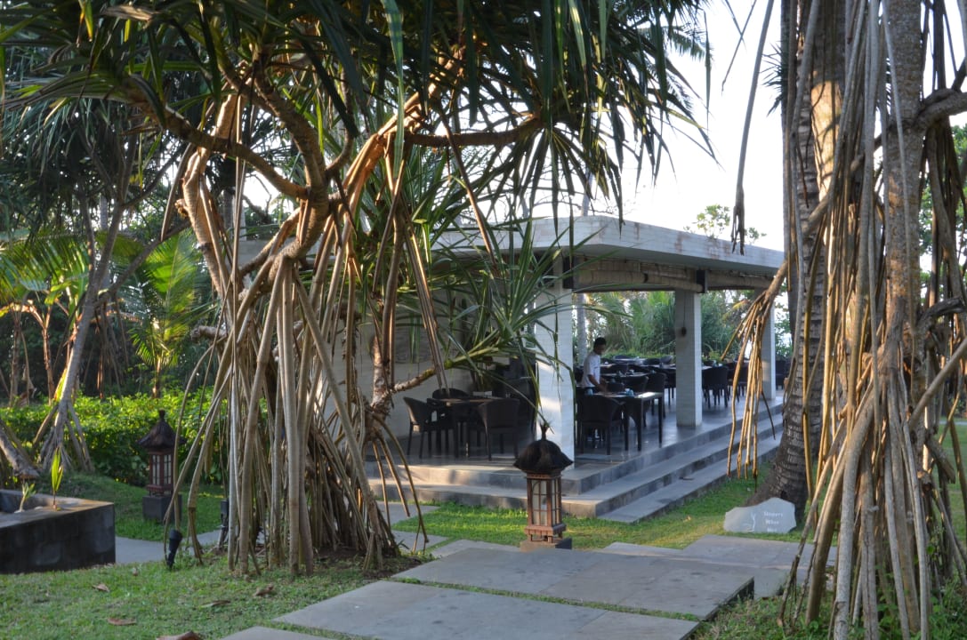 Es gibt gleich Frühstück Kelapa Retreat & Spa