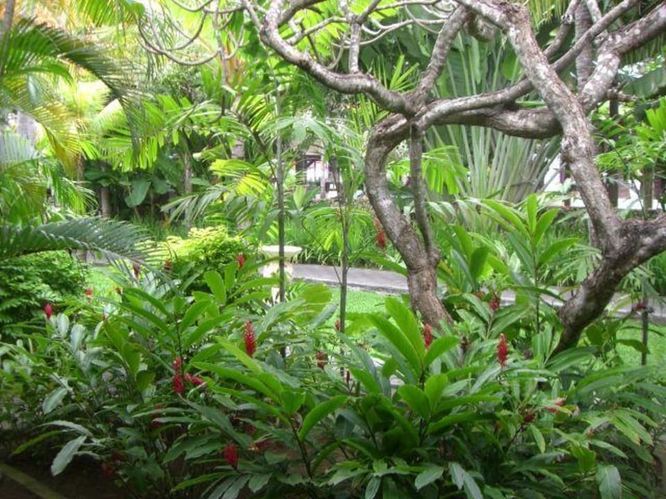 Garten Puri Santrian