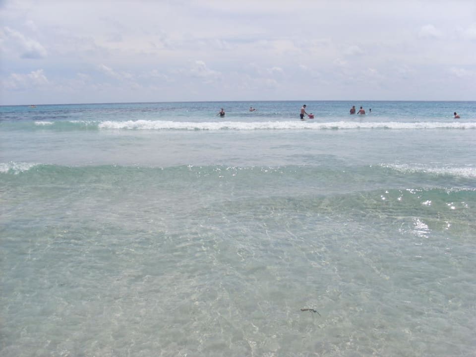 Kristallklares Wasser am linken Strand Aparthotel Playa Dorada