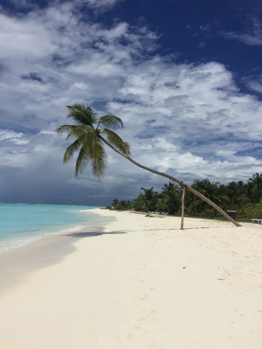 Strand Meeru Maldives Resort Island