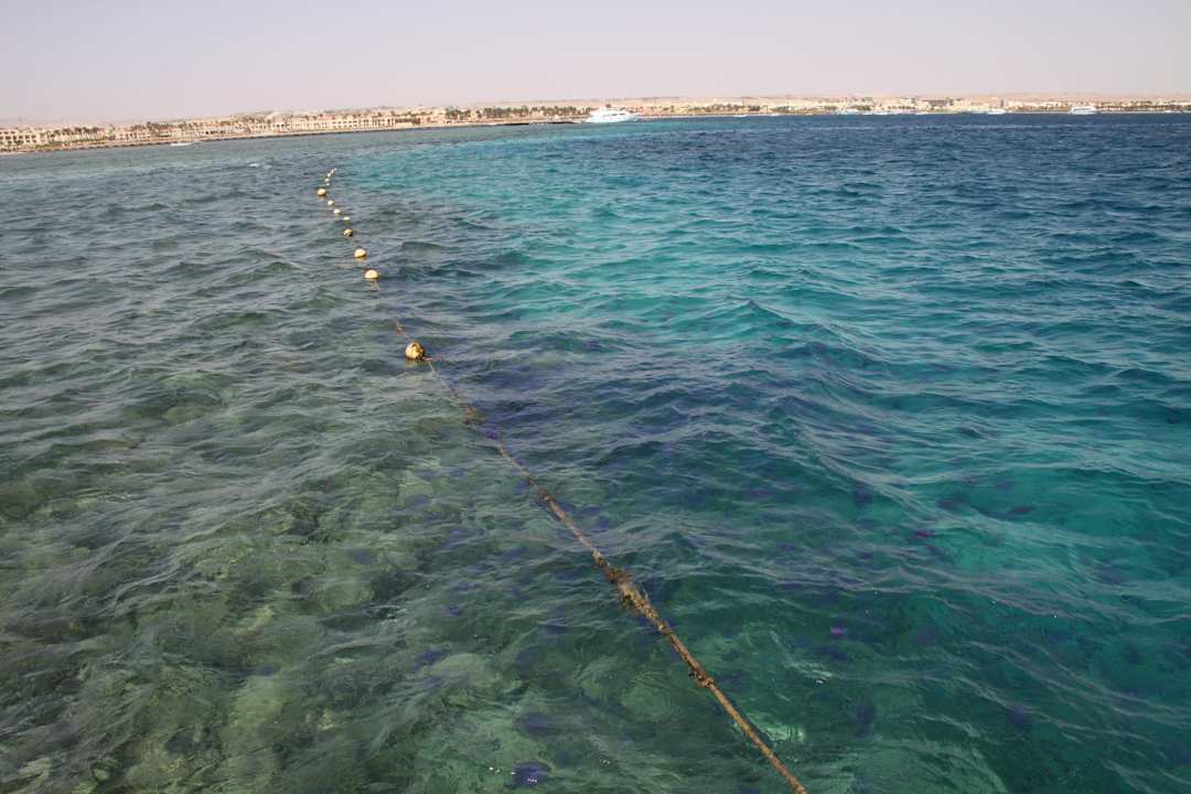 Quallen Stella Garden Resort & Spa, Makadi Bay