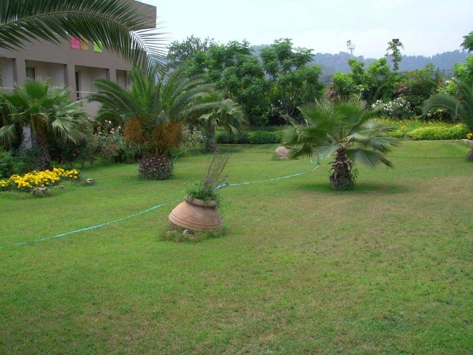 Aussenanlage neben dem Pool Armas Gül Beach
