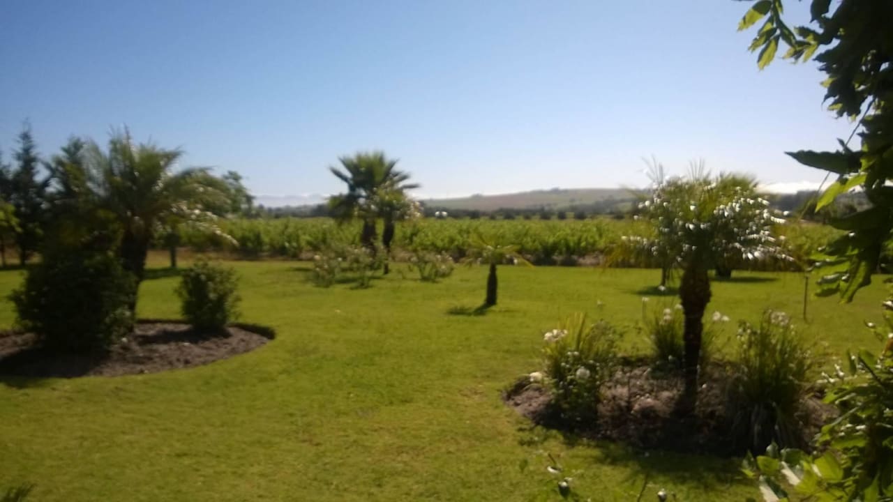Blick von der Terrasse The Country Guesthouse