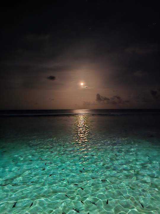 Ausblick Meeru Maldives Resort Island