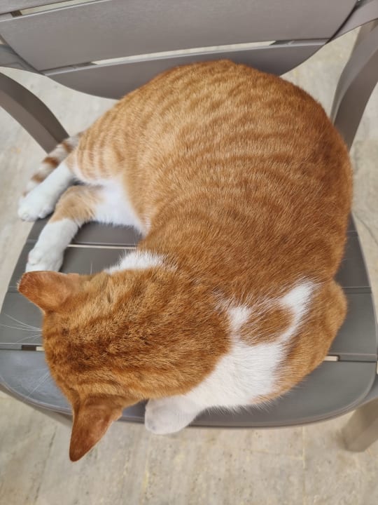 Sonstiges Miramare Queen Hotel