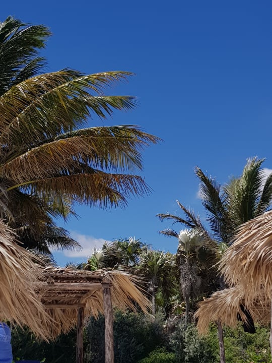 Strand Hotel Melia Cayo Coco - Adults only