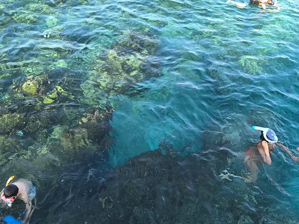 Strand Pickalbatros Royal Moderna Resort-Sharm El Sheikh