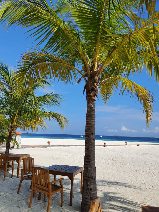 Strand Banyan Tree Vabbinfaru