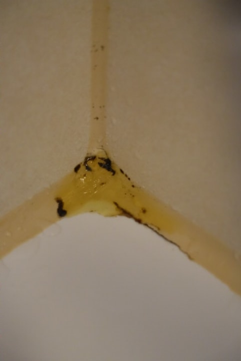 Zimmer Center Parcs Park Bostalsee