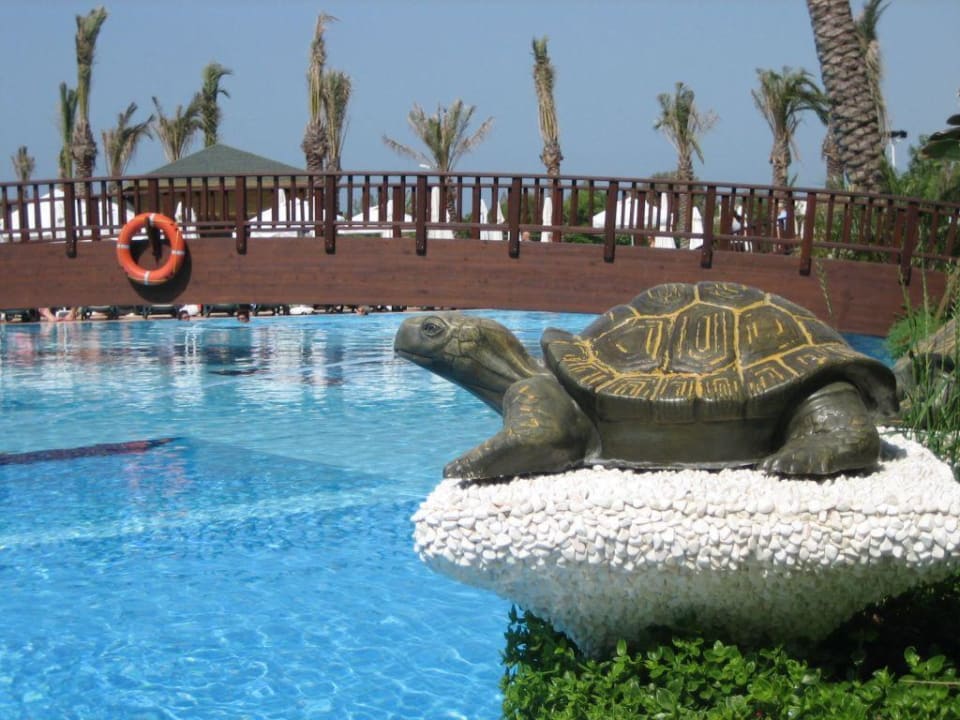 Pool Sunis Kumköy Beach Resort Hotel & Spa