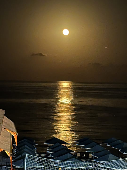 Strand Aleria Belport Beach Hotel