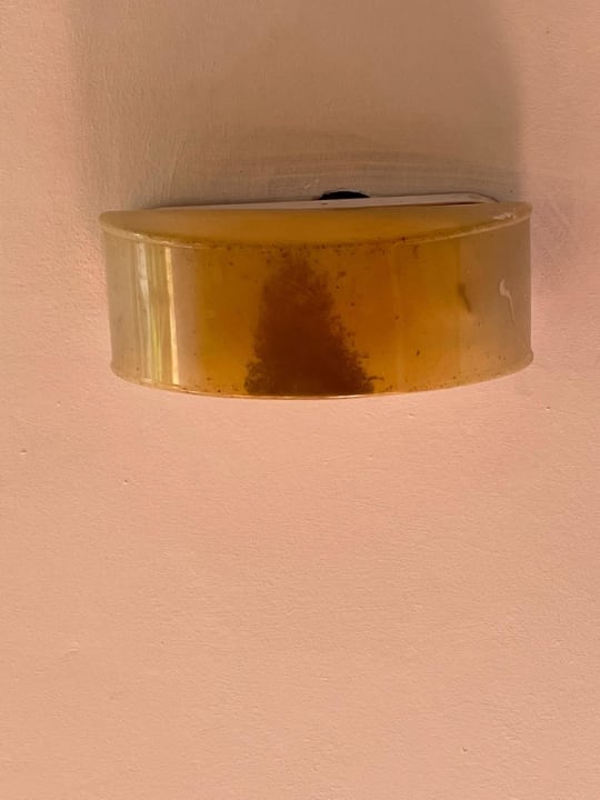 Lobby Starfish Cuatro Palmas