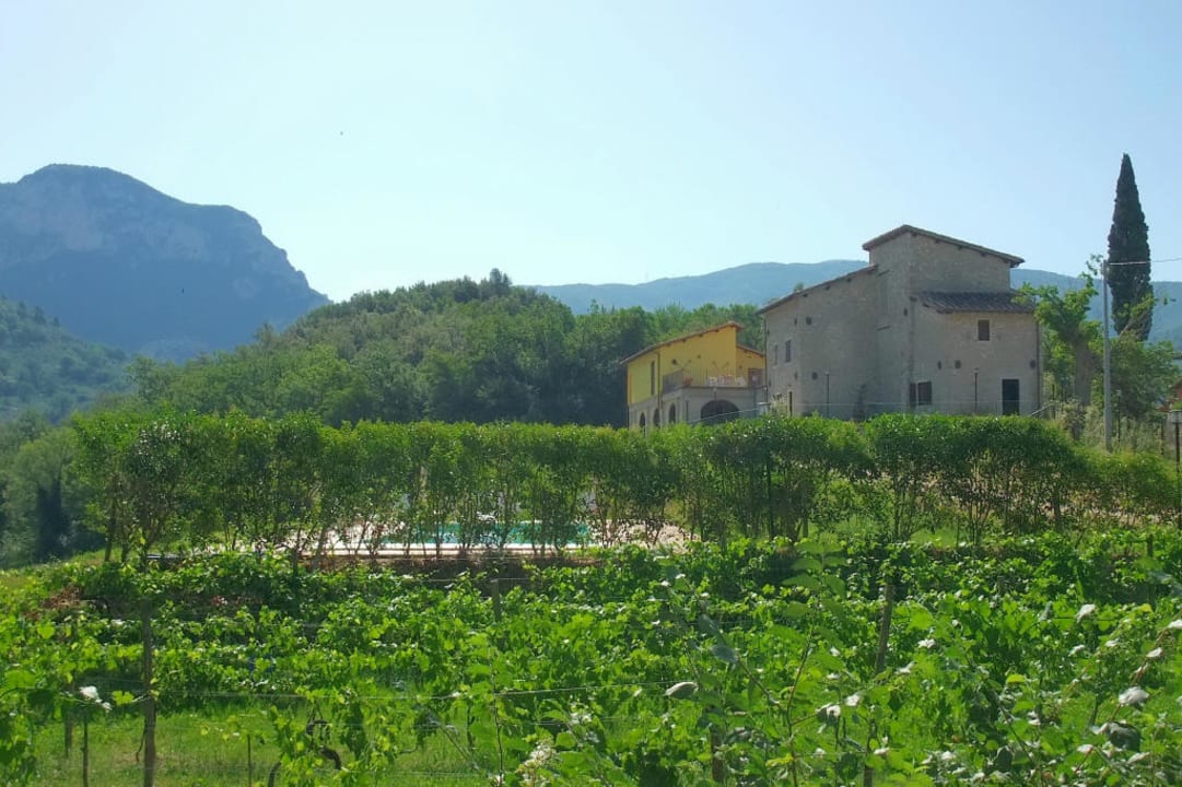 1. Ansicht Guesthouse Il Gelso Country House