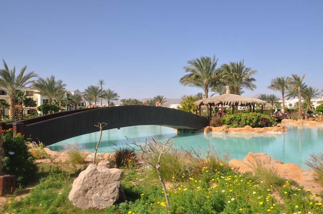 Ogród Regency Plaza Aqua Park & Spa