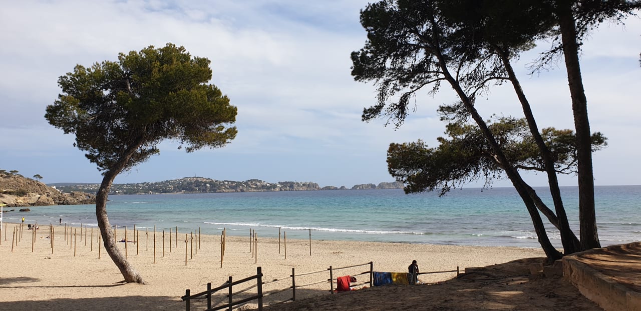 Strand allsun Hotel Bella Paguera