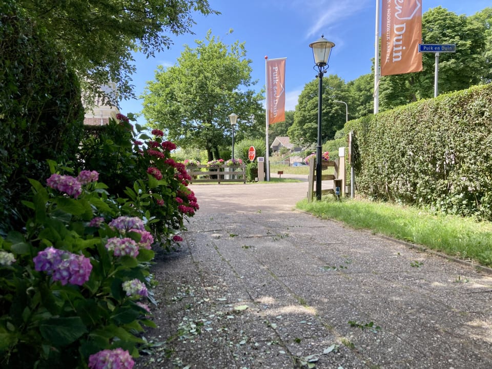 Ausblick Bungalowpark Puik en Duin Vakantie Noordwijk
