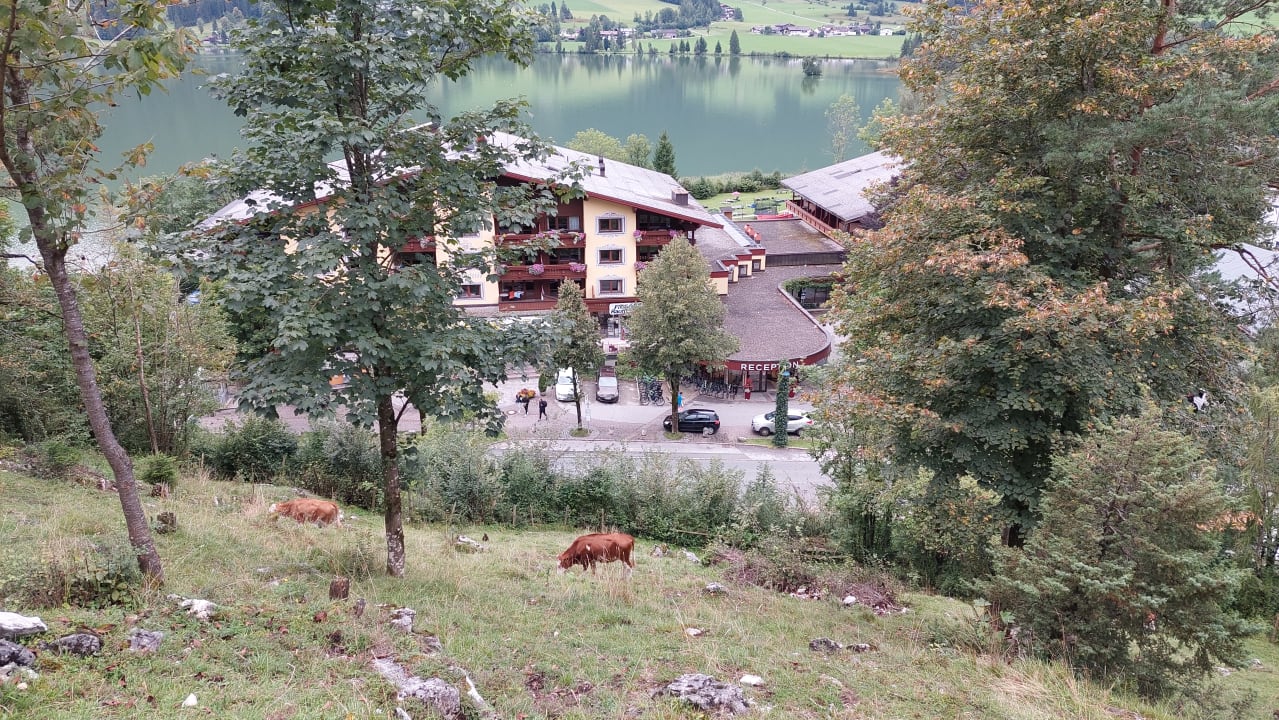 Außenansicht Hotel Bellevue am See