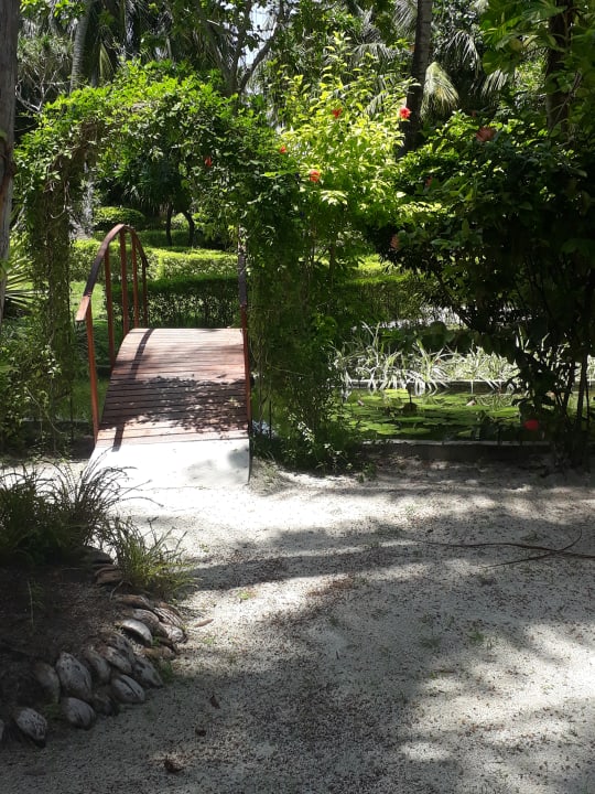 Gartenanlage Adaaran Select Meedhupparu Island Resort - Premium All Inclusive