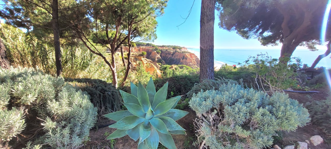 Ausblick PortoBay Falésia