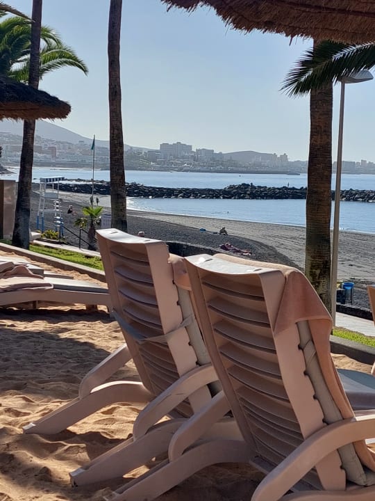 Gartenanlage Hotel Riu Palace Tenerife