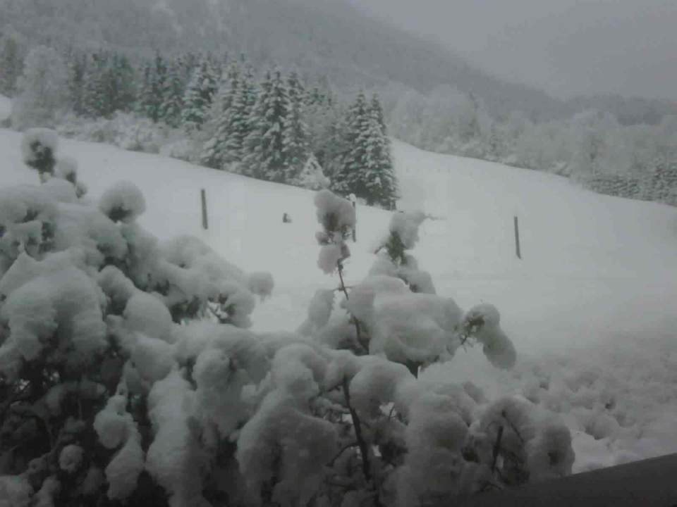 Schneegestöber Ferienwohnung Almstüberl