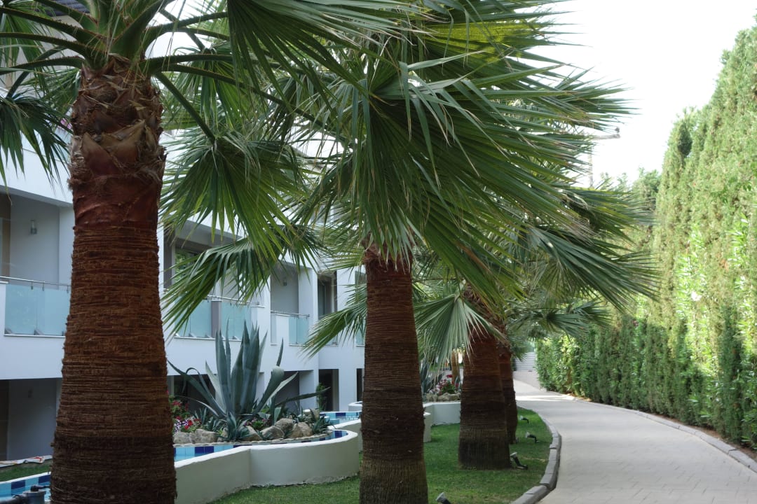 Zimmer auf der Rückseite Lesante Classic - Preferred Hotels & Resorts