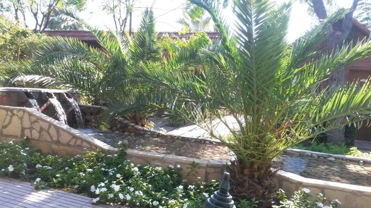 Den Bachlauf hatten wir vorm Bungalow Can Garden Beach