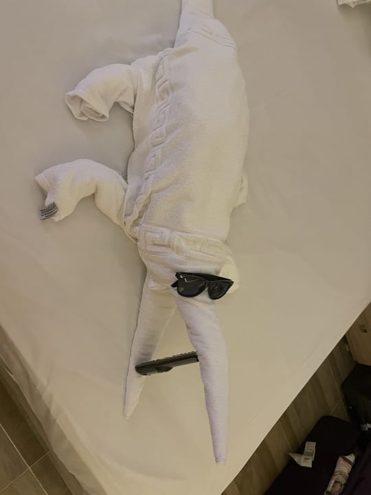 Zimmer Pickalbatros Aqua Park Resort - Hurghada