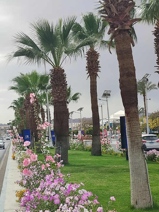 Außenansicht Ghazala Beach