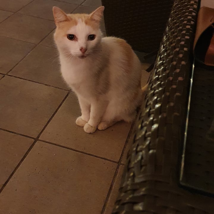 Sonstiges Hotel Las Costas