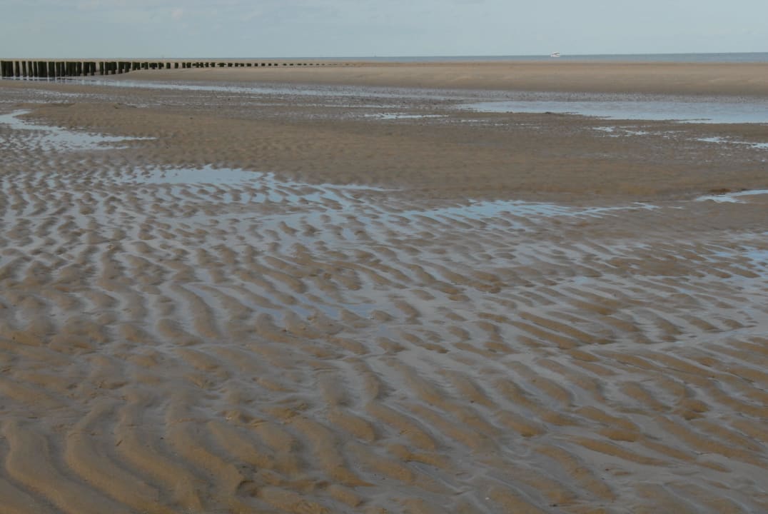 Sehr schöner Strand Dormio Strand Resort Nieuwvliet-Bad