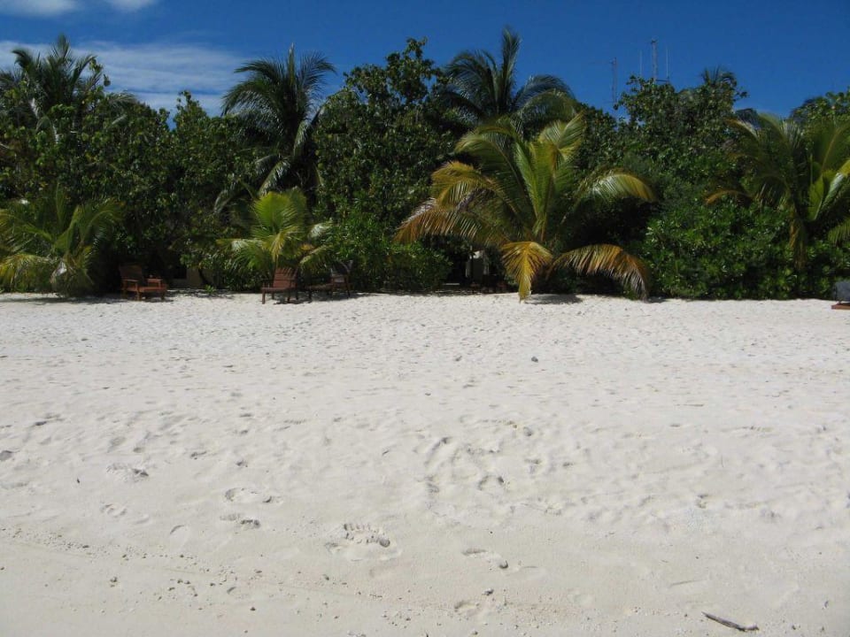 Strand und Vegetation vom Wasser aus Eriyadu Island Resort