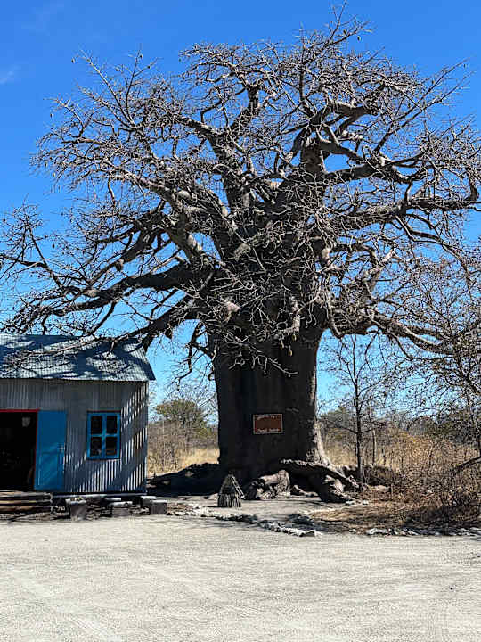 Außenansicht Planet Baobab Botswana