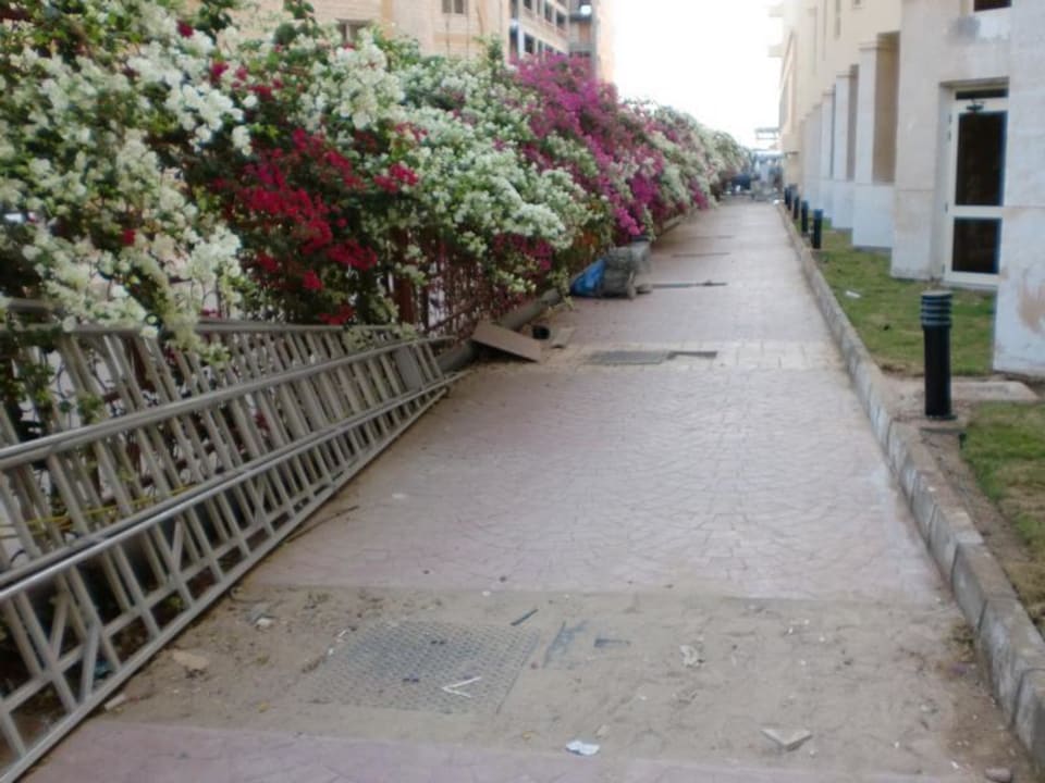 Weg um Anlage AMC Royal Hotel & SPA