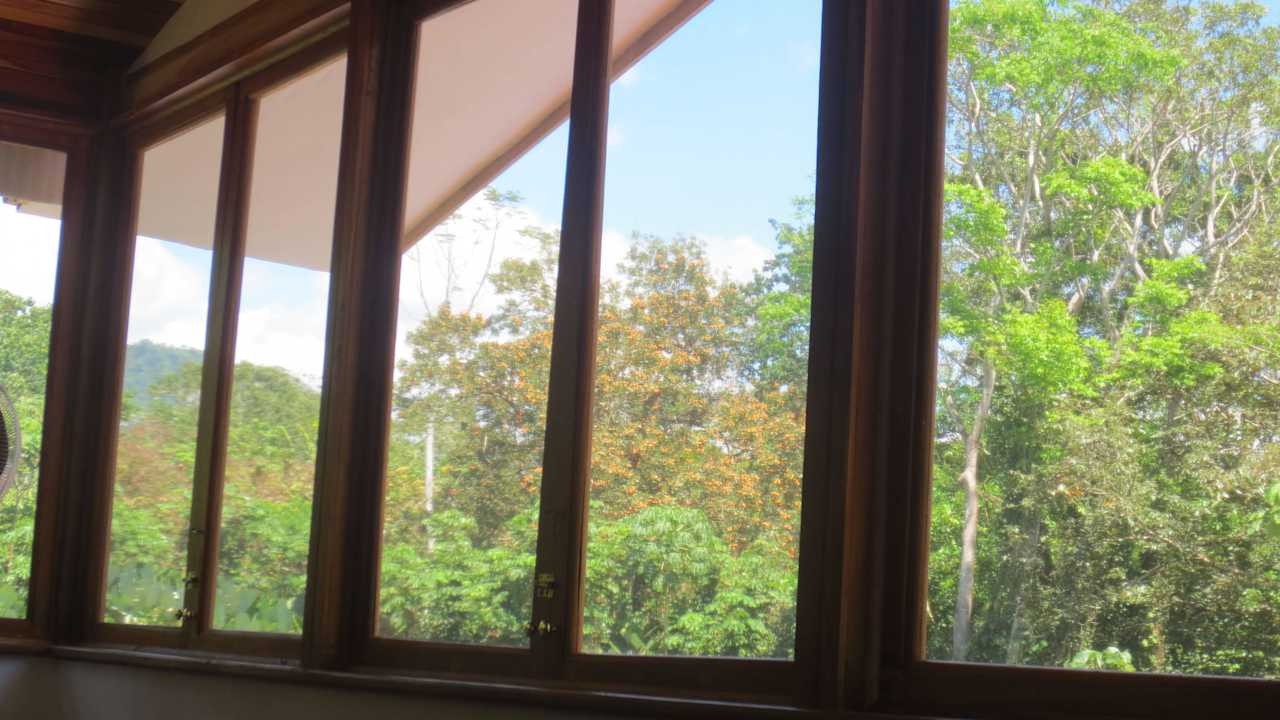 Blick vom Bett Casa Aba Matapalo