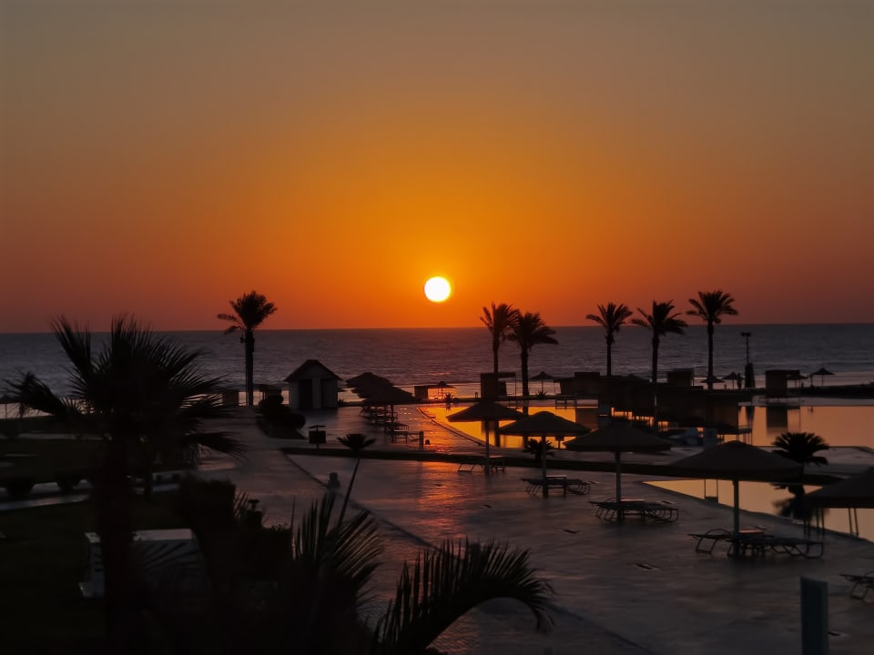 Ausblick Pickalbatros Sea World Resort - Marsa Alam