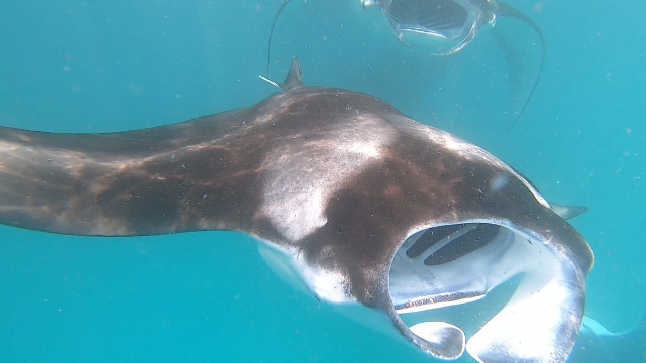 Sport & Freizeit NH Collection Maldives Reethi Resort